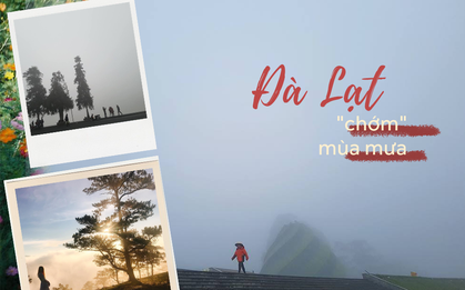 Dưới cái nắng nóng nghiệt ngã của Hà Nội, ôi thèm lắm Đà Lạt 18 độ C và những cơn mưa