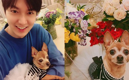 Dù có là chàng trai vạn người mê như Lee Min Ho thì về nhà cũng phải "cúi đầu" trước chú boss của mình mà thôi