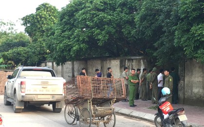 Công an bắt giữ đàn chó cắn tử vong bé trai 7 tuổi ở Hưng Yên