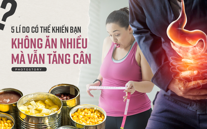 Ăn ít mà vẫn tăng cân, có thể bạn đang gặp phải những vấn đề sức khoẻ này