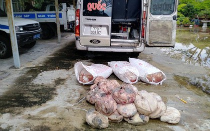 Phát hiện xe khách chở nửa tấn nội tạng thối