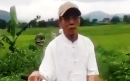 Nguyên chủ tịch xã ở Thanh Hóa bị tạm giữ hình sự vì đưa bé gái 8 tuổi ra cánh đồng lúa giở trò đồi bại
