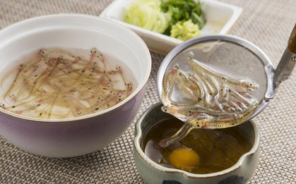 Người Nhật tạo ra hẳn một "môn phái" cho việc ăn những con còn ngọ nguậy, nhưng ý nghĩa đằng sau mới gây bất ngờ
