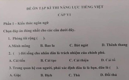 Xuất hiện đề thi Tiếng Việt dành cho người Nhật siêu khó và rất dễ nhầm lẫn khiến dân mạng nhiều người bó tay