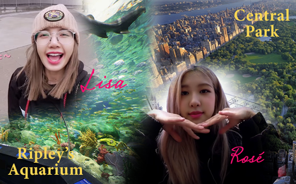 Fan “thòng tim” với cuộc phiêu lưu của Lisa và Rosé (BLACKPINK) vào xứ sở động vật, người đâu mà gặp con gì cũng chào hỏi như quen lâu rồi