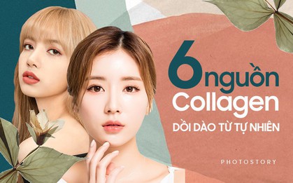 Bổ sung collagen để dưỡng nhan mỗi ngày từ nguồn nguyên liệu dễ kiếm này