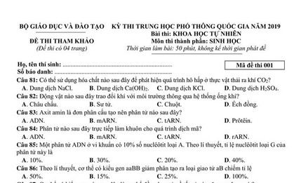Đề thi tham khảo THPT Quốc gia 2019 tổ hợp Khoa học tự nhiên: Vật lý, Hoá học, Sinh học