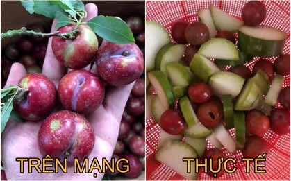 Mua mận online 40k bị “độn” toàn bầu bí, cô gái sốc khi người bán phản hồi: “Thật thà ăn cháo láo nháo ăn cơm, nghe thấy bao giờ chưa?”