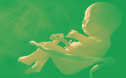 2 em bé chỉnh sửa gene từng gây tranh cãi dữ dội tại Trung Quốc đang có nguy cơ chết sớm