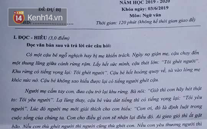 Đề thi lại môn Ngữ Văn tuyển sinh lớp 10 ở Quảng Bình: Phân tích anh thanh niên trong tác phẩm Lặng lẽ Sa Pa