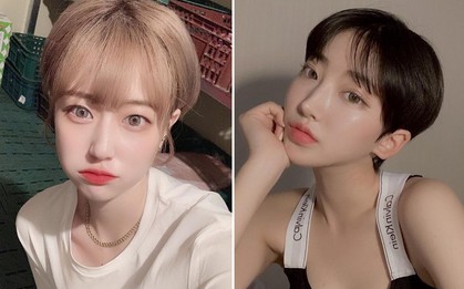 Tóc pixie vừa mát mẻ lại vừa sành điệu thế này, bảo sao trên Instagram bây giờ toàn các "cô nàng đẹp trai"