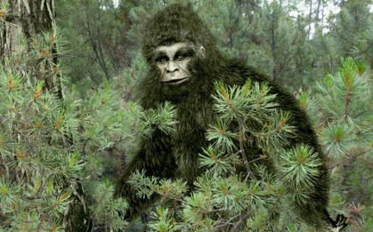 Người đàn ông gửi lông Bigfoot cho FBI đòi phân tích, 40 năm sau mới nhận được đáp án lúc gần đất xa trời