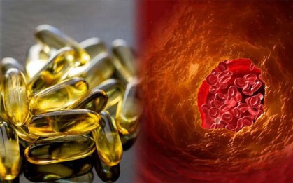 Nghiên cứu chứng minh: dầu cá chính là loại thực phẩm giúp kiểm soát cholesterol vô cùng hiệu quả