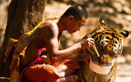 Những khoảnh khắc tiết lộ thế giới thú vị hơn bạn tưởng