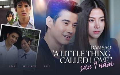 Dàn sao siêu phẩm "Mối tình đầu" sau 9 năm: Mỹ nhân "Chiếc lá bay" vực dậy sau bê bối gây sốc, kẻ lột xác khó tin