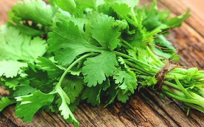 Tác dụng bất ngờ của 1 loại rau thơm lên tim, não
