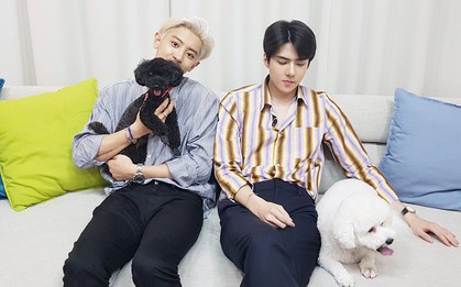 Phá kỉ lục các nhóm nhỏ thuộc Super Junior và GOT7 năm 2019 nhưng EXO-SC vẫn thua đau Baekhyun