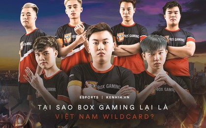 Góc giải đáp cực mạnh cho fan Liên Quân Mobile: Tại sao Việt Nam WildCard là Box Gaming? WildCard là như thế nào vậy?