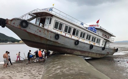 Kinh hãi cảnh tàu khách vắt vẻo trên đê lấn biển khi tránh bão