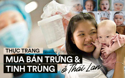 Thị trường mua bán trứng và tinh trùng phi pháp ở Thái Lan: Người người "săn giống" đẹp và thông minh giá nghìn đô của người mẫu và nam sinh y khoa
