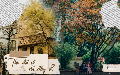 Ô kìa, tự dưng mở mắt thấy trời mưa, hơi se se lạnh... Mùa thu Hà Nội đã về thật rồi!