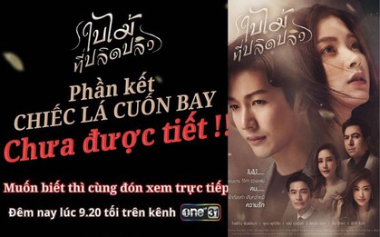 Khi bạn là designer nhưng bị ép làm nội dung: "Phần kết Chiếc Lá Bay chưa được tiết!" Ủa, chữ lộ rụng đâu rồi?