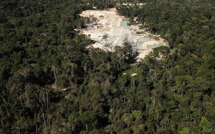 Thợ mỏ trái phép, nông dân và các nhóm khai thác tài nguyên của Brazil: Những thế lực đang âm thầm phá hủy lá phổi xanh Amazon