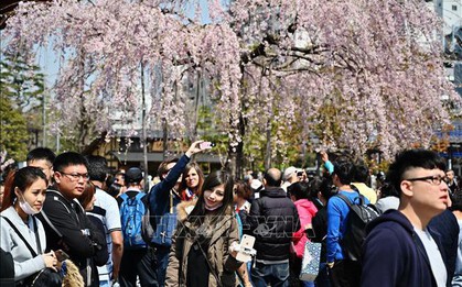 Tokyo là thành phố an toàn nhất thế giới