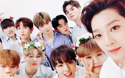 Wanna One tròn 2 năm debut: Fan đưa ca khúc debut quay lại BXH, 11 chàng trai liệu có giữ lời hứa tụ họp đông đủ?