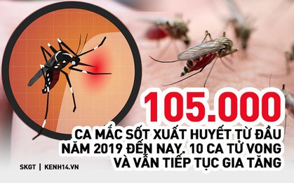 Sốt xuất huyết diễn biến phức tạp, số ca tử vong tại Việt Nam tăng cao, nhiều ca trong số đó là người trẻ