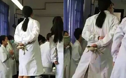 Shock trước cảnh nữ sinh trường Y bóp chặt con ếch đang còn sống trên tay, đứng lên ghế chăm chú nghe giảng thực hành mổ
