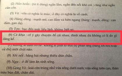 Xuất hiện dòng chữ "Cà khịa" trong sách giáo khoa Ngữ Văn, hóa ra cụm từ hot trend này có từ thời "Dế mèn phiêu lưu ký"