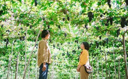 Tháng 9 đổi gió “săn nho” tại 2 khu vườn nổi tiếng nhất Ninh Thuận để lúc đi có hình sống ảo, lúc về có nho ăn!