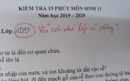Cô giáo thu về 50 nghìn like chỉ nhờ một lời phê vài bài kiểm tra, đọc vào mới biết lỗi này trò nào cũng mắc phải đôi ba lần