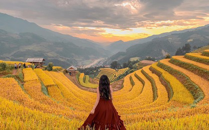 Lên Mù Cang Chải mùa lúa chín chụp bộ hình đẹp như 1 giấc mơ, nhưng nữ chính lại “nổ inbox” vì chị em hỏi... chỗ mua váy