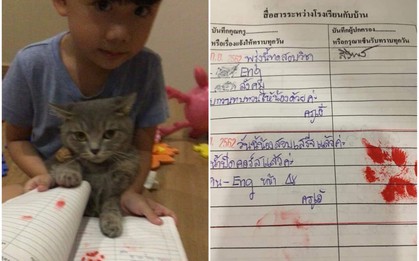 Sợ bố mẹ đọc được lời phê bình trong phiếu liên lạc, cậu bé nhờ một nhân vật bí ẩn ký thay, phát hiện ra ai cũng phì cười