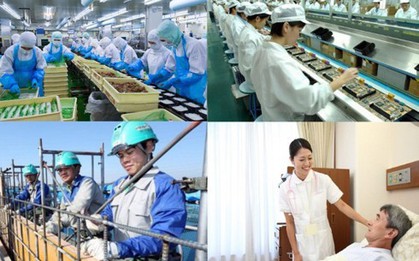 Đài Loan: Tự thú trước ngày 1/7, người nước ngoài cư trú quá hạn sẽ được hưởng khoan hồng
