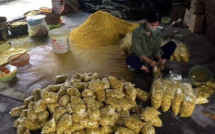 Hải Dương: Phát hiện cơ sở trộn lưu huỳnh vào riềng xay để bán