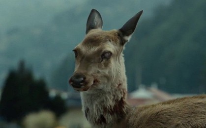 Đại dịch biến hươu thành "zombie" đang lan rộng khắp 24 bang nước Mỹ, có khả năng lây sang người
