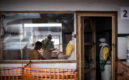 Có tới 26 người thiệt mạng trong 1 ngày vì virus Ebola tại CHDC Congo