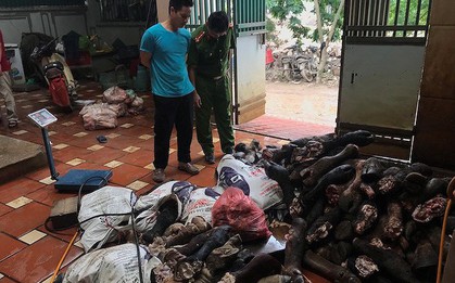 Hà Nội: Phát hiện hàng tấn chân bò và nội tạng gia súc không rõ nguồn gốc