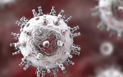 2 virus bệnh tình dục "giao phối", đe dọa sinh ra siêu bệnh mới