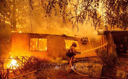 Cháy rừng kinh hoàng ở California năm 2018 là do sự cố đường dây truyền tải điện