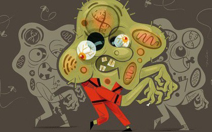 Trong cơ thể bạn có những tế bào "zombie" không chịu chết, vì chúng mà con người mới sinh, lão, bệnh, tử