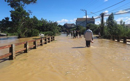 Lâm Đồng: Hơn 10 tỉ đồng "biến mất" trong lũ quét kinh hoàng