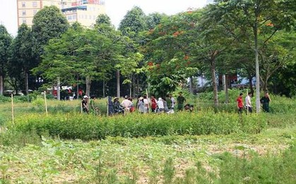 Thanh Hóa: Phát hiện người chăm sóc cây cảnh gục chết trong công viên