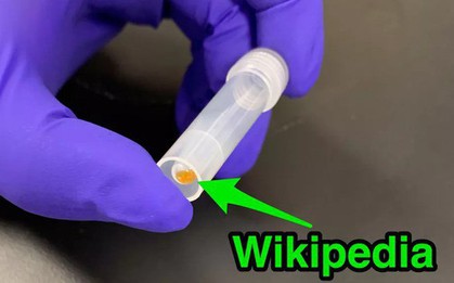 Toàn bộ 16 GB Wikipedia tiếng Anh được lưu trữ trên ADN, nằm gọn trong ống nghiệm thế này đây