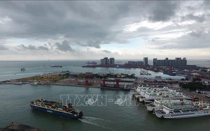 Bão lớn kèm mưa đá hoành hành, khoảng 200 người thương vong