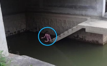 Phát hiện thi thể trên mặt nước, người đàn ông hoảng sợ báo cảnh sát, nhưng khi đến nơi kiểm tra mọi người đều tức giận nói không nên lời