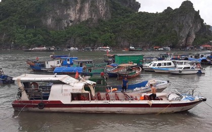 Tàu cá đâm tung nóc tàu cao tốc ở Quảng Ninh, 46 hành khách la hét hoảng loạn